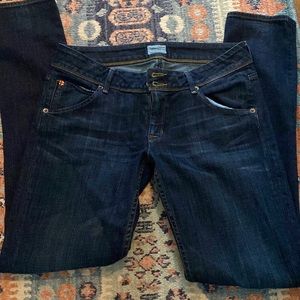 Hudson jeans 27 long
